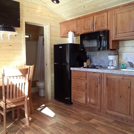 פאלם דזרט Palm Springs Camping Resort Cabin 3 מראה חיצוני תמונה